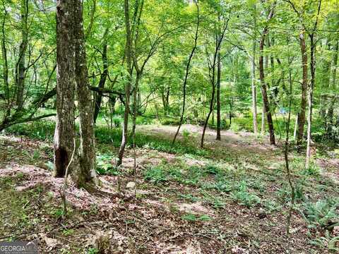 #3 Lower Fox Trail, Blairsville, GA 30512