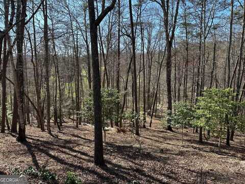 Lot 40 Asheland Cove, Young Harris, GA 30582