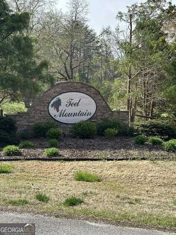 Lot 2 Teel Mountain, Cleveland, GA 30528