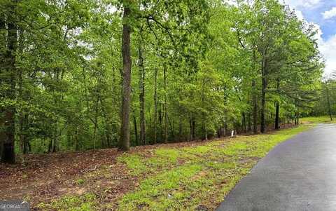 Lot 6 Brasstown Trails, Warne, NC 28909