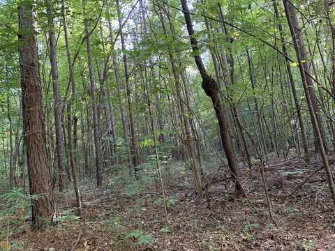 5.10 Acres Hwy 123, Toccoa, GA 30577