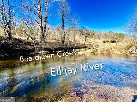 000 River Escape, Cherry Log, GA 30522