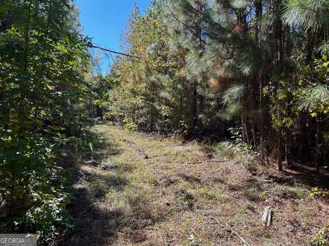 0 Thigpen Cemetery, Rockledge, GA 30454