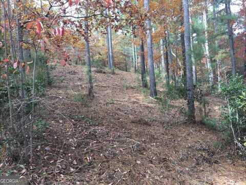 (134) Sandy Lake, Blairsville, GA 30512