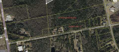 V/L NE/S HWY17 & N/S Harrietts Bluff Road, Kingsland, GA 31548