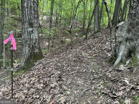 Lot 13 Picklesimer Mountain, Morganton, GA 30560