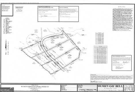 Lot 1 Big Creek, Cherry Log, GA 30522