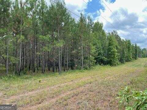 0 Robert Rozier Rd Lot H, Eastman, GA 31023