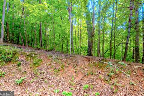 Lt J350 Walnut Mountain, Ellijay, GA 30540