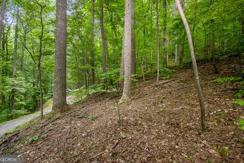 Lt J350 Walnut Mountain, Ellijay, GA 30540