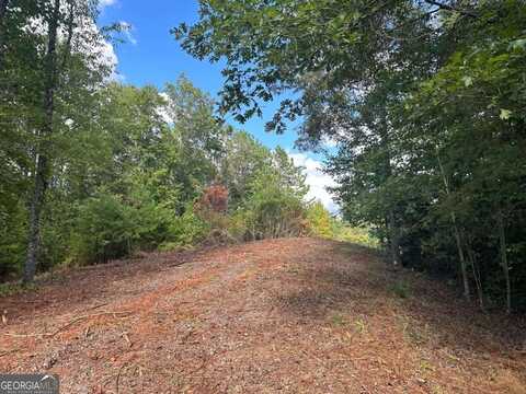 Lot 37 Wildflower, Warne, NC 28909