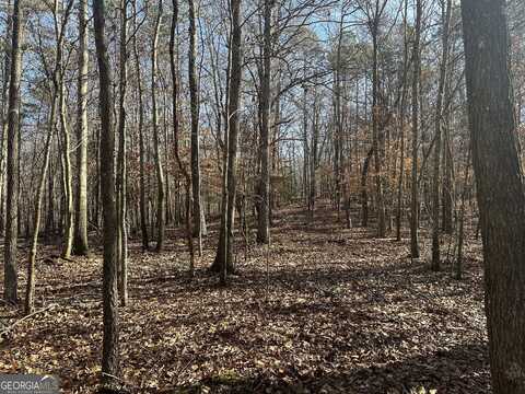 18 Acres Dove Hill, Royston, GA 30662