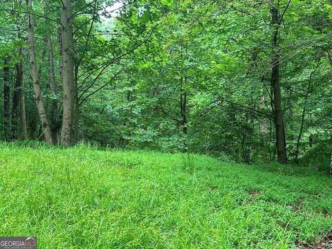 Lot 59 Timberwalk, Ellijay, GA 30540