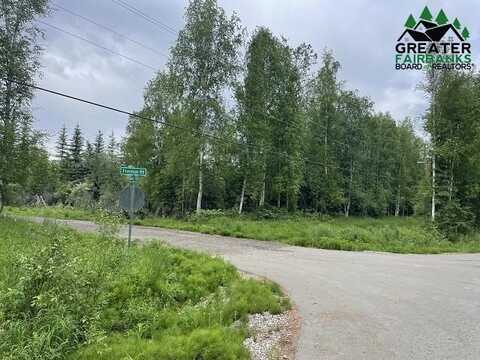 NHN BENJI COURT, North Pole, AK 99705