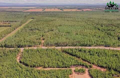 C-1 Allis Chalmers Court, Delta Junction, AK 99737