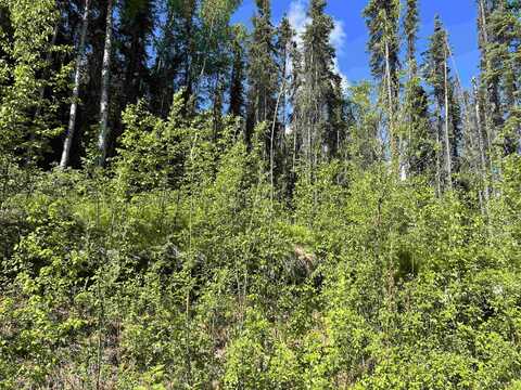 NHN CRESTLINE DRIVE, Fairbanks, AK 99712