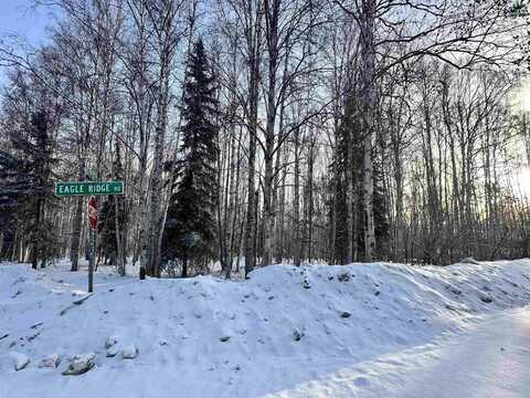 NHN EAGLE RIDGE ROAD, Fairbanks, AK 99712