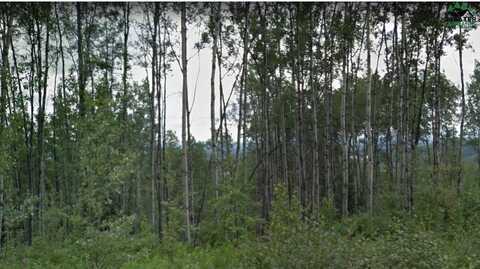 nhn RIDGEPOINTE DRIVE, Fairbanks, AK 99709