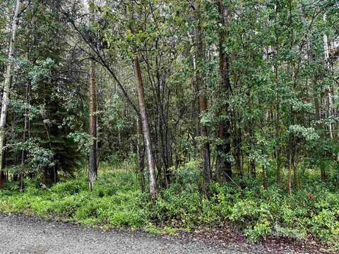 NHN SILVERLEAF AVENUE, North Pole, AK 99705