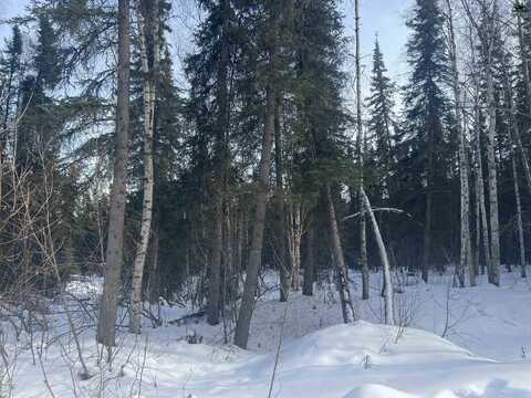 NHN WHISTLING SWAN, Fairbanks, AK 99712