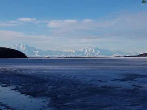 nhn LAKE MINCHUMINA, Lake Minchumina, AK 99757