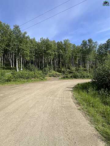 NHN SNOWBASIN ROAD, Fairbanks, AK 99709