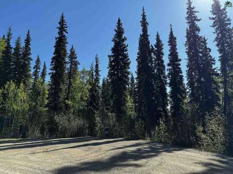 L17B4 NHN GOWER DRIVE, Fairbanks, AK 99709