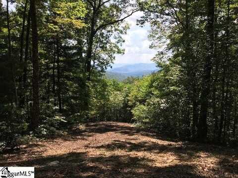 1335 Panther Park Trail, Travelers Rest, SC 29690