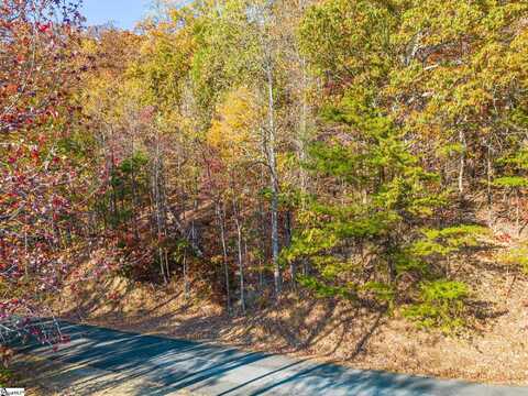 19 Hemlock Trail, Columbus, NC 28722