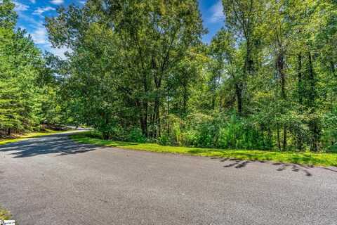 111 Sweetshrub Way, Sunset, SC 29685