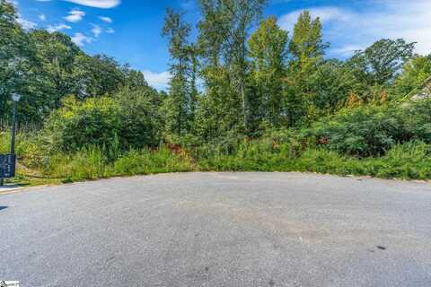 00 Wildflower Road, Easley, SC 29642