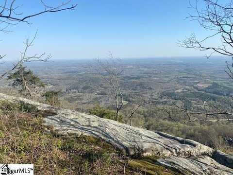 Rose Pink Trail, Landrum, SC 29356