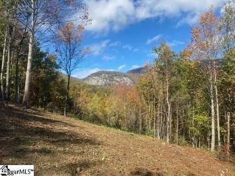 219 Craggy Rock Lane, Landrum, SC 29356