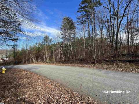 154 Hawkins Road, Greenville, SC 29615