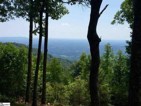 246 Bella Vista Court, Zirconia, NC 28790