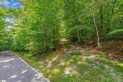 8 Granite Falls Drive, Landrum, SC 29356