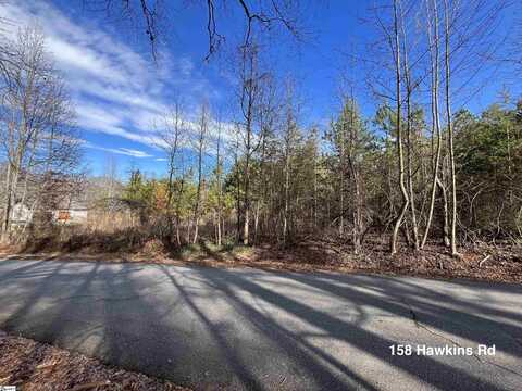 158 Hawkins Road, Greenville, SC 29615