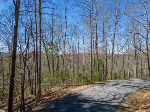 132 overlook pa Overlook Park Drive, Hendersonville, NC 28792