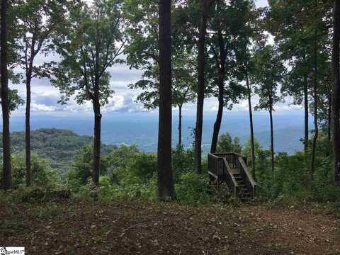 260 Bella Vista Court, Zirconia, NC 28790