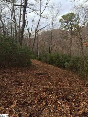 Panther Mountain Road, Travelers Rest, SC 29690