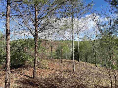 775 Blue Bonnet Trail, Marietta, SC 29661