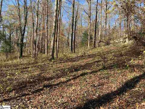 194 Catnip Trail, Landrum, SC 29356