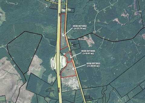 71 Acres Highway 17, Townsend, GA 31331