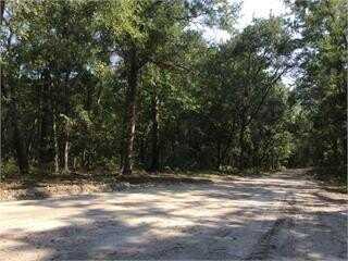 471.46 Acres Simons Bluff Road, Woodbine, GA 31569