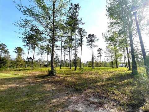 264 Salt Creek Way E, Brunswick, GA 31523