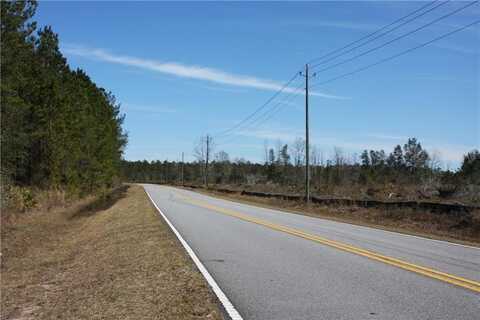 0 SW King Swamp Road SW, Townsend, GA 31331