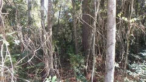 Lot 21 Lighthouse Circle, Woodbine, GA 31569