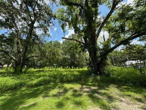 Lot 28 Egret Court SW, Darien, GA 31305