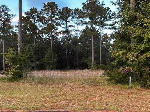 642 Dune Meadow Drive NE, Townsend, GA 31331