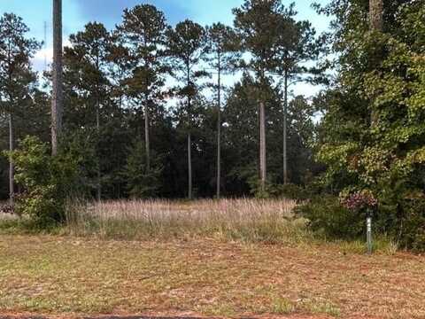 642 Dune Meadow Drive NE, Townsend, GA 31331